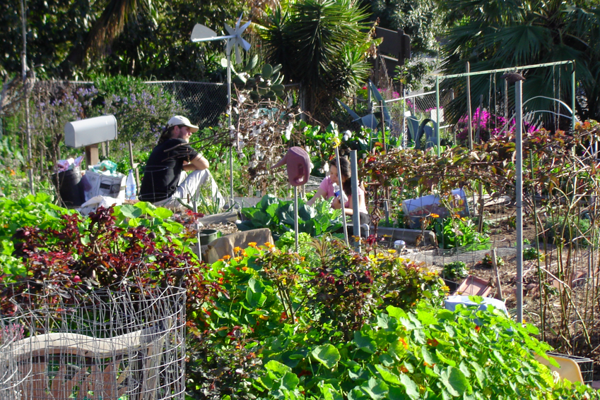 Growing The La Community Garden Council Ron Milam Consulting